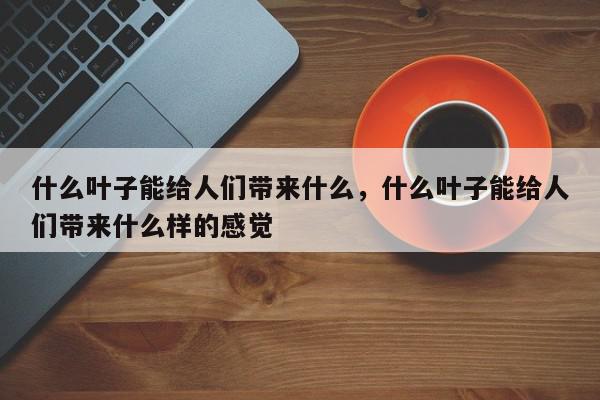什么叶子能给人们带来什么，什么叶子能给人们带来什么样的感觉-第1张图片-我家生活百科