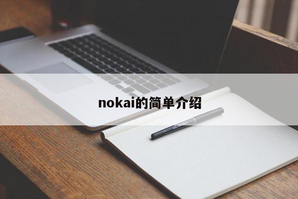 nokai的简单介绍-第1张图片-我家生活百科