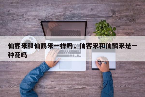 仙客来和仙鹤来一样吗，仙客来和仙鹤来是一种花吗-第1张图片-我家生活百科