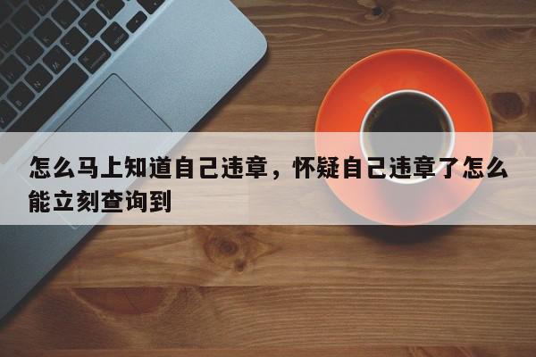怎么马上知道自己违章，怀疑自己违章了怎么能立刻查询到-第1张图片-我家生活百科