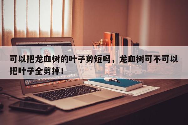 可以把龙血树的叶子剪短吗，龙血树可不可以把叶子全剪掉！-第1张图片-我家生活百科