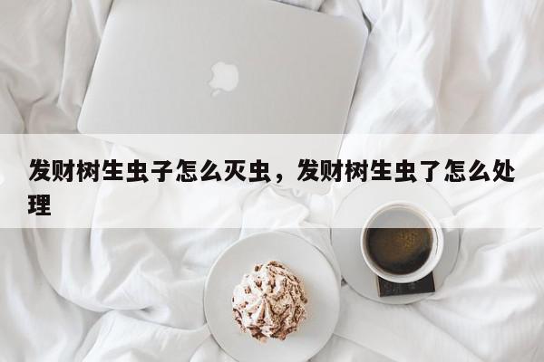 发财树生虫子怎么灭虫，发财树生虫了怎么处理-第1张图片-我家生活百科