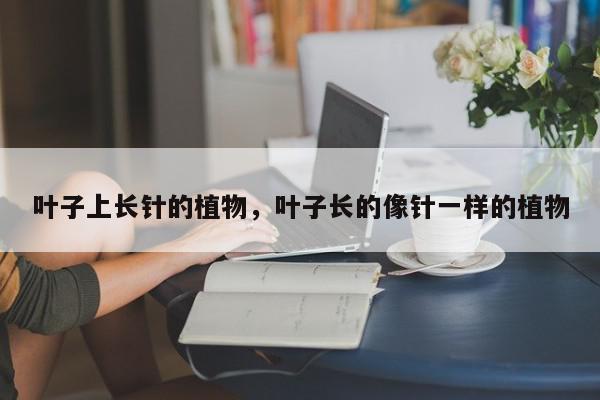 叶子上长针的植物，叶子长的像针一样的植物-第1张图片-我家生活百科