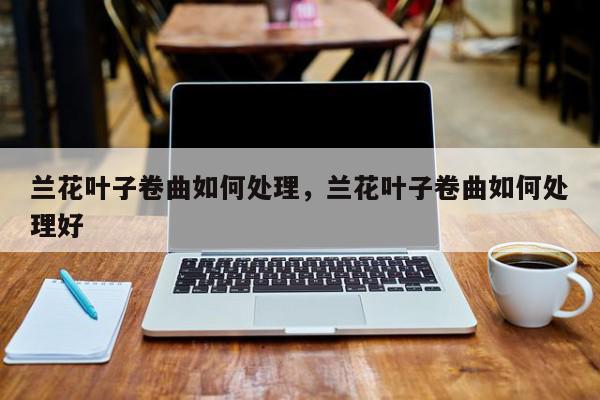 兰花叶子卷曲如何处理，兰花叶子卷曲如何处理好-第1张图片-我家生活百科
