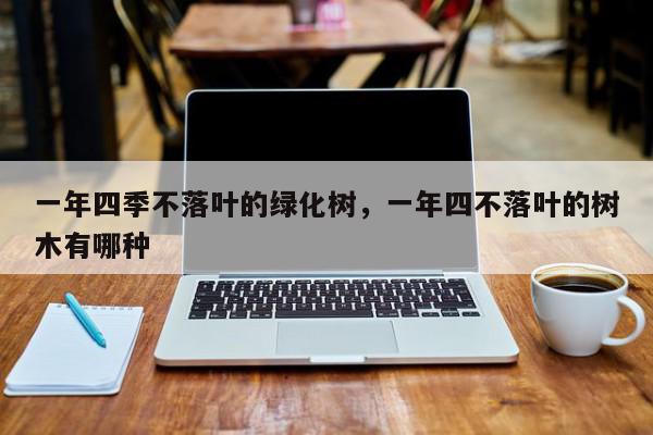 一年四季不落叶的绿化树，一年四不落叶的树木有哪种-第1张图片-我家生活百科