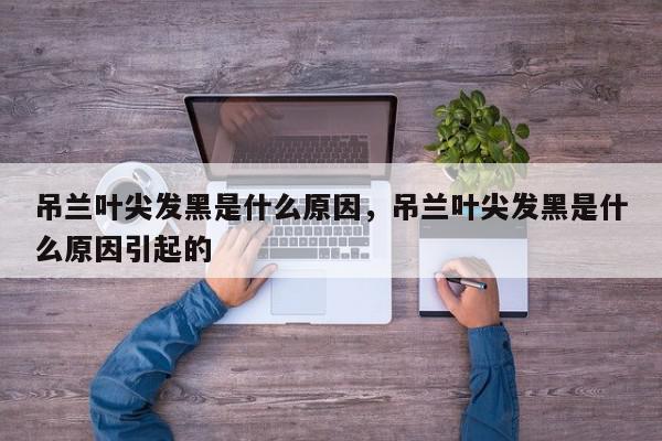 吊兰叶尖发黑是什么原因，吊兰叶尖发黑是什么原因引起的-第1张图片-我家生活百科