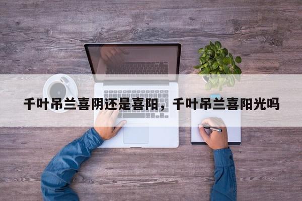 千叶吊兰喜阴还是喜阳，千叶吊兰喜阳光吗-第1张图片-我家生活百科