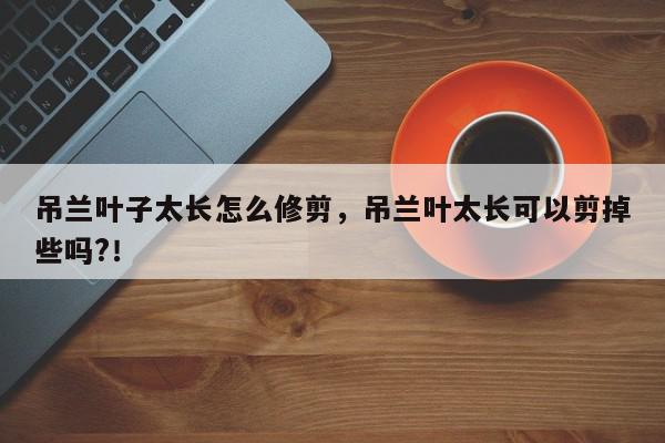 吊兰叶子太长怎么修剪，吊兰叶太长可以剪掉些吗?！-第1张图片-我家生活百科