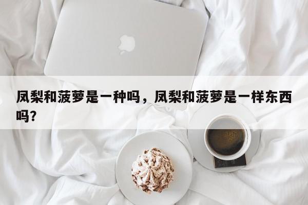 凤梨和菠萝是一种吗，凤梨和菠萝是一样东西吗？-第1张图片-我家生活百科