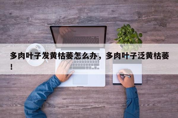 多肉叶子发黄枯萎怎么办，多肉叶子泛黄枯萎！-第1张图片-我家生活百科
