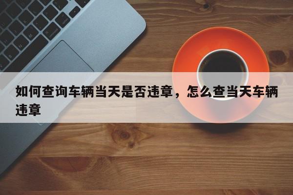 如何查询车辆当天是否违章，怎么查当天车辆违章-第1张图片-我家生活百科