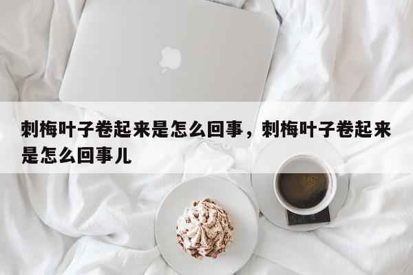刺梅叶子卷起来是怎么回事，刺梅叶子卷起来是怎么回事儿-第1张图片-我家生活百科