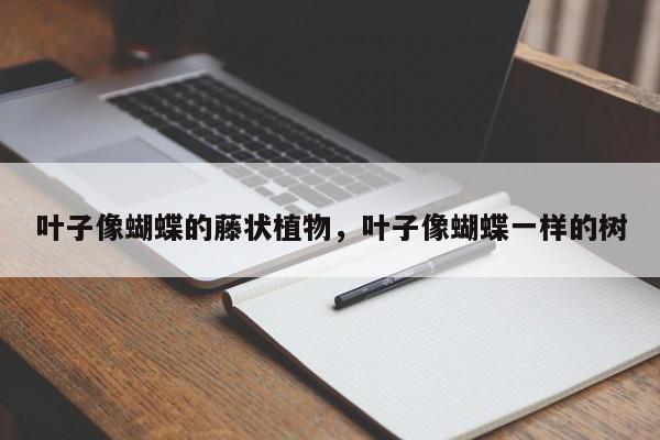 叶子像蝴蝶的藤状植物，叶子像蝴蝶一样的树-第1张图片-我家生活百科