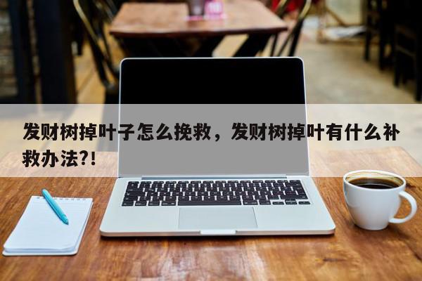 发财树掉叶子怎么挽救，发财树掉叶有什么补救办法?！-第1张图片-我家生活百科