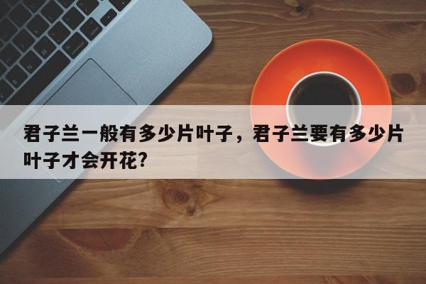 君子兰一般有多少片叶子，君子兰要有多少片叶子才会开花?-第1张图片-我家生活百科