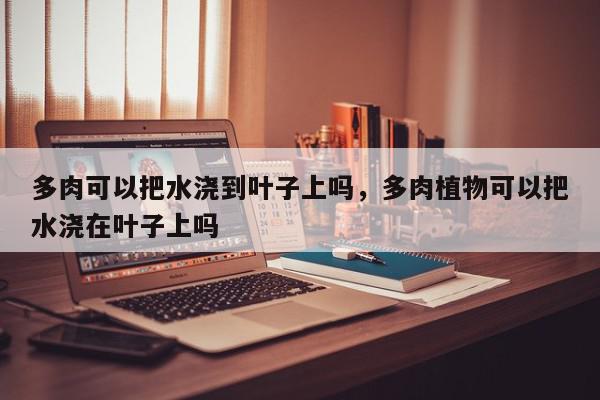 多肉可以把水浇到叶子上吗，多肉植物可以把水浇在叶子上吗-第1张图片-我家生活百科