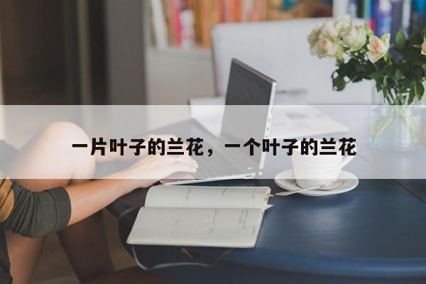 一片叶子的兰花，一个叶子的兰花-第1张图片-我家生活百科