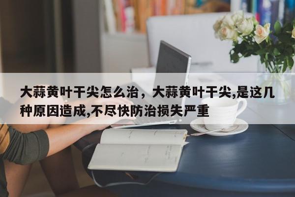 大蒜黄叶干尖怎么治，大蒜黄叶干尖,是这几种原因造成,不尽快防治损失严重-第1张图片-我家生活百科