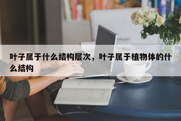叶子属于什么结构层次,叶子属于植物体的什么结构-第1张图片-我家生活百科 叶子属于什么结构层次,叶子属于植物体的什么结构-第1张图片-我家生活百科