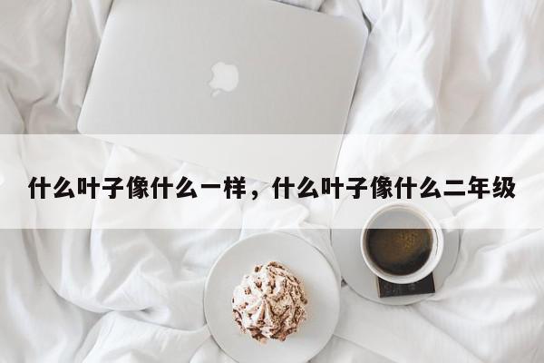 什么叶子像什么一样，什么叶子像什么二年级-第1张图片-我家生活百科