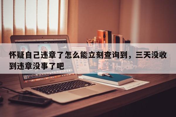 怀疑自己违章了怎么能立刻查询到，三天没收到违章没事了吧-第1张图片-我家生活百科