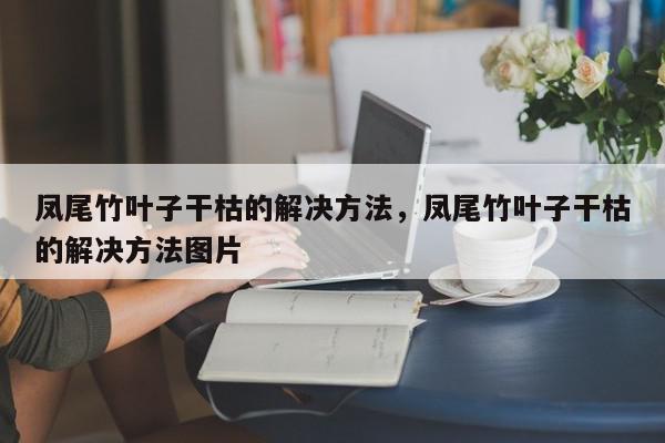 凤尾竹叶子干枯的解决方法，凤尾竹叶子干枯的解决方法图片-第1张图片-我家生活百科