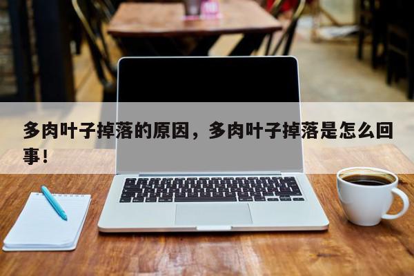 多肉叶子掉落的原因,多肉叶子掉落是怎么回事!-第1张图片-我家生活百科 多肉叶子掉落的原因,多肉叶子掉落是怎么回事!-第1张图片-我家生活百科