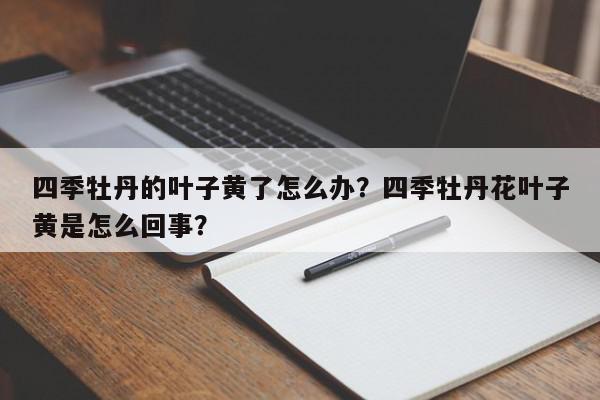 四季牡丹的叶子黄了怎么办?四季牡丹花叶子黄是怎么回事?-第1张图片-我家生活百科 四季牡丹的叶子黄了怎么办?四季牡丹花叶子黄是怎么回事?-第1张图片-我家生活百科