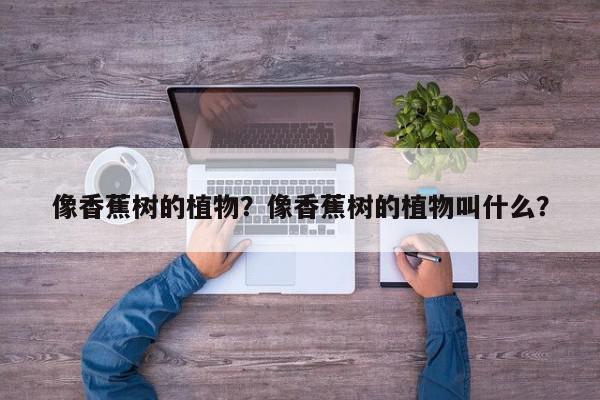 像香蕉树的植物?像香蕉树的植物叫什么?-第1张图片-我家生活百科 像香蕉树的植物?像香蕉树的植物叫什么?-第1张图片-我家生活百科