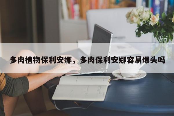多肉植物保利安娜，多肉保利安娜容易爆头吗-第1张图片-我家生活百科
