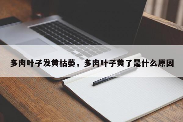 多肉叶子发黄枯萎，多肉叶子黄了是什么原因-第1张图片-我家生活百科