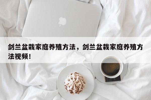 剑兰盆栽家庭养殖方法，剑兰盆栽家庭养殖方法视频！-第1张图片-我家生活百科