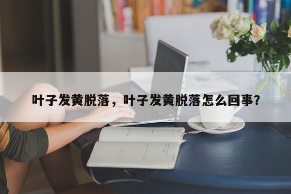 叶子发黄脱落,叶子发黄脱落怎么回事?-第1张图片-我家生活百科 叶子发黄脱落,叶子发黄脱落怎么回事?-第1张图片-我家生活百科