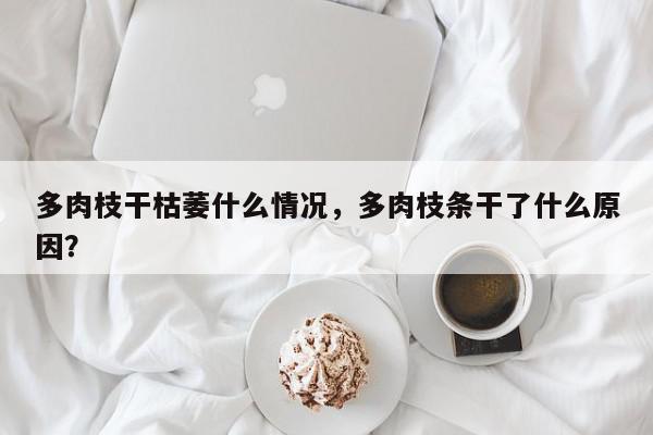 多肉枝干枯萎什么情况，多肉枝条干了什么原因？-第1张图片-我家生活百科