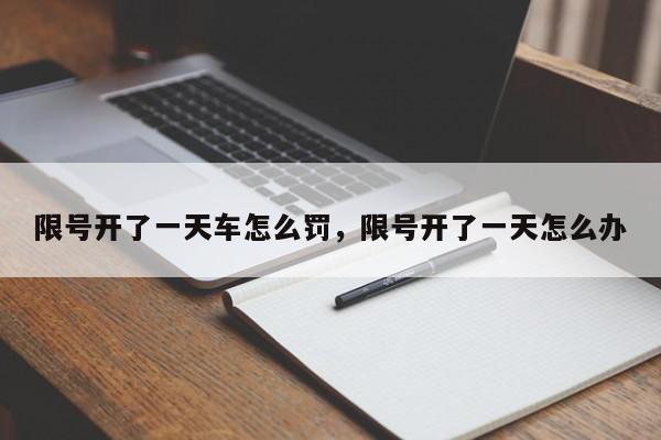 限号开了一天车怎么罚，限号开了一天怎么办-第1张图片-我家生活百科