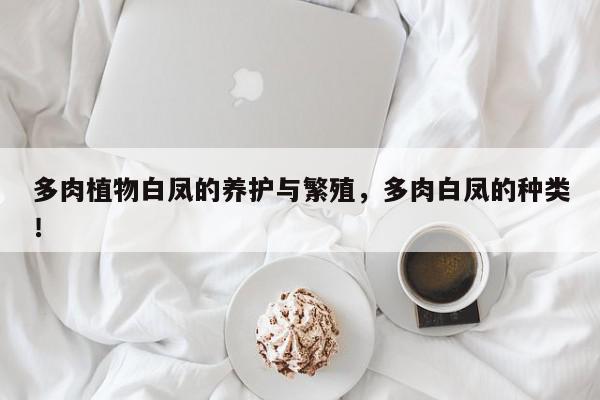 多肉植物白凤的养护与繁殖，多肉白凤的种类！-第1张图片-我家生活百科