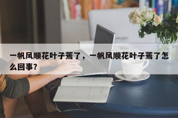 一帆风顺花叶子蔫了，一帆风顺花叶子蔫了怎么回事？-第1张图片-我家生活百科