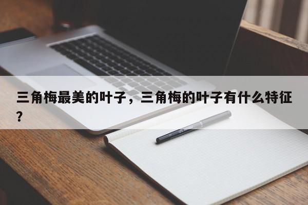 三角梅最美的叶子，三角梅的叶子有什么特征？-第1张图片-我家生活百科