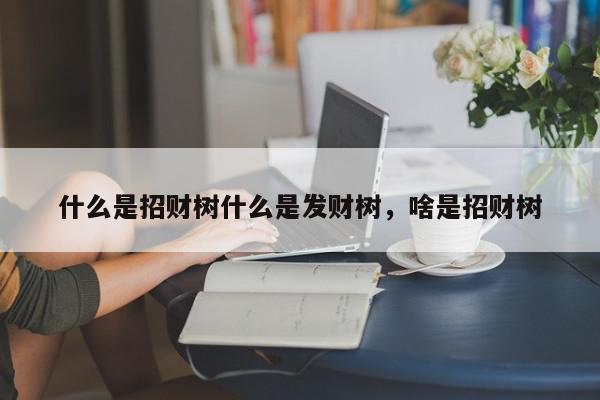 什么是招财树什么是发财树，啥是招财树-第1张图片-我家生活百科
