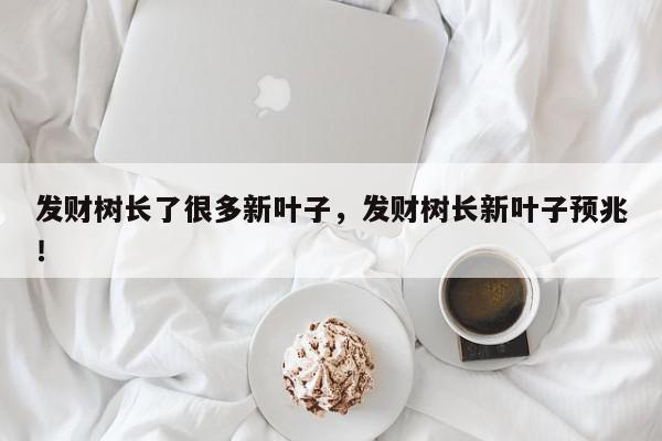 发财树长了很多新叶子，发财树长新叶子预兆！-第1张图片-我家生活百科
