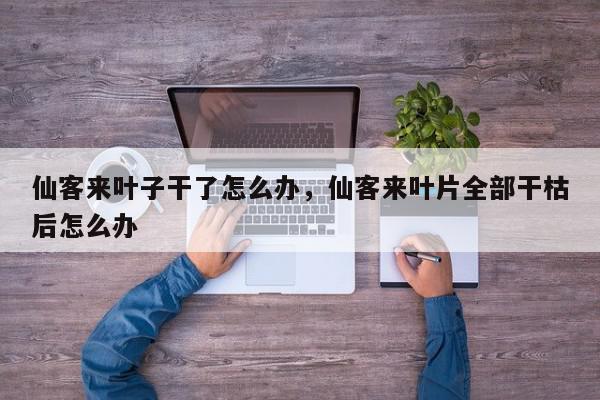 仙客来叶子干了怎么办，仙客来叶片全部干枯后怎么办-第1张图片-我家生活百科