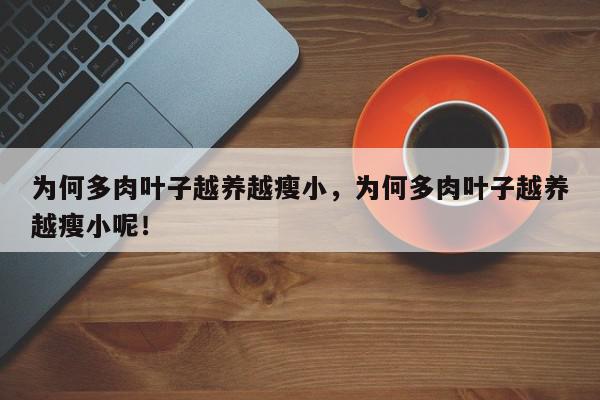 为何多肉叶子越养越瘦小，为何多肉叶子越养越瘦小呢！-第1张图片-我家生活百科