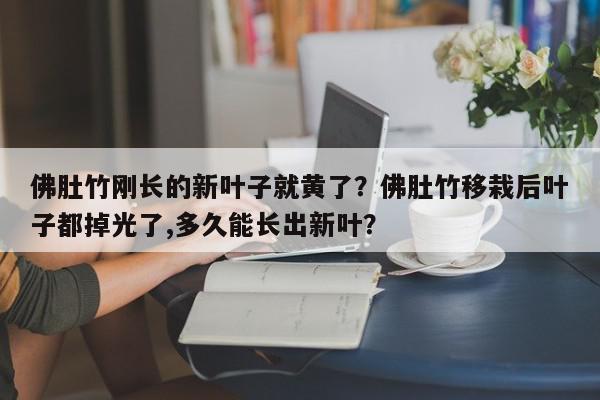 佛肚竹刚长的新叶子就黄了？佛肚竹移栽后叶子都掉光了,多久能长出新叶？-第1张图片-我家生活百科