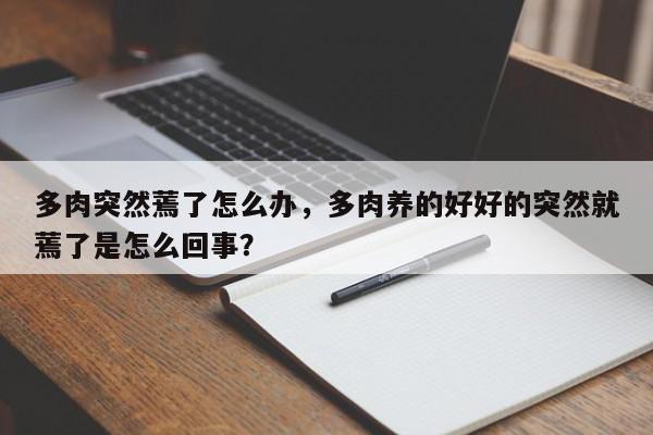 多肉突然蔫了怎么办，多肉养的好好的突然就蔫了是怎么回事？-第1张图片-我家生活百科