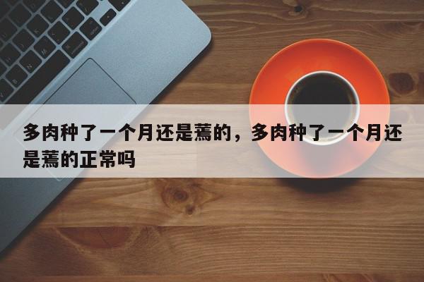 多肉种了一个月还是蔫的，多肉种了一个月还是蔫的正常吗-第1张图片-我家生活百科