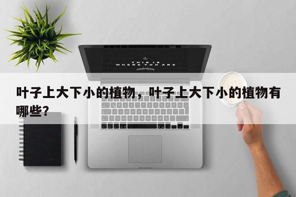 叶子上大下小的植物,叶子上大下小的植物有哪些?-第1张图片-我家生活百科 叶子上大下小的植物,叶子上大下小的植物有哪些?-第1张图片-我家生活百科