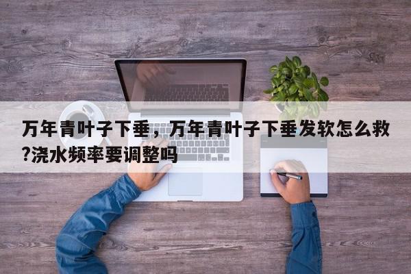 万年青叶子下垂，万年青叶子下垂发软怎么救?浇水频率要调整吗-第1张图片-我家生活百科