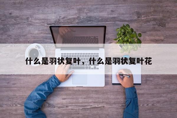 什么是羽状复叶，什么是羽状复叶花-第1张图片-我家生活百科