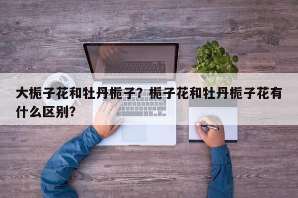 大栀子花和牡丹栀子？栀子花和牡丹栀子花有什么区别？-第1张图片-我家生活百科