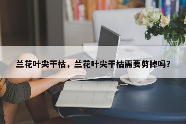 兰花叶尖干枯，兰花叶尖干枯需要剪掉吗？-第1张图片-我家生活百科
